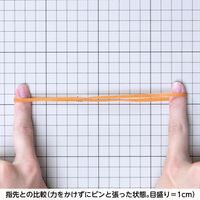 【輪ゴム】 共和 オーバンド透明袋 50g GNA-N-001 #410 アメ 1セット（3袋）