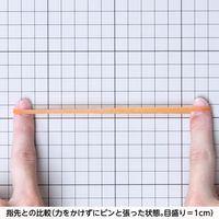 【輪ゴム】 共和 オーバンド透明袋 50g GMA-N-001 #360 アメ 1セット（3袋）