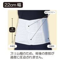 竹虎 ソフラグランゼ 22cm幅 フリー 040610 1枚 67-2386-76（直送品）