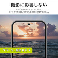 MSソリューションズ Google Pixel 8 カメラ保護アルミカバー LN-23WP1ALLENGY 1個