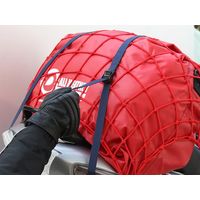 タナックス MFー4529 カーゴベルト 1セット(4個)（直送品）