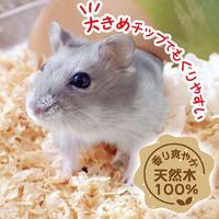快適 やわらかベッド 小動物用 12L 1袋 ドギーマンハヤシ
