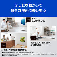 パナソニック 4K液晶テレビ TH-43LF1 1台