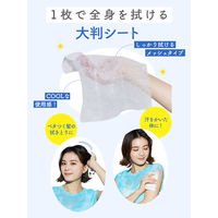 ダイアン パーフェクトビューティー ドライシャンプーシート ヘア＆ボディ 無香料 12枚 ネイチャーラボ