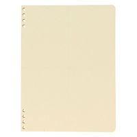 ロルバーン フレキシブル リフィル A5 4分割 クリーム ノート 2個 デルフォニックス（Rollbahn）