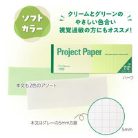 オキナ プロジェクト限定パッド A4ハーフ 50枚 ソフトカラー 5mm方眼罫 PH4059 1冊