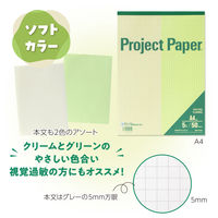 オキナ プロジェクト限定パッド A4 50枚 ソフトカラー 5mm方眼罫 PH4055 1冊