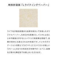 ライフ ノーブルノート A7 5ミリ方眼 30枚 2冊 N47