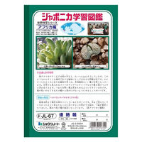ショウワノート ジャポニカ学習帳 連絡帳（れんらくちょう） 14行 JL-67 2冊