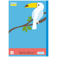 カレッジアニマル学習帳 算数ノート セミB5 17マス=付 トリ LP22 日本ノート 2冊