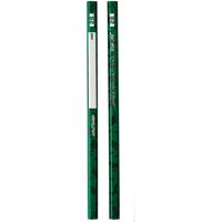 学校鉛筆 2B ダイナソー（恐竜イラスト） 2パック（10本入×2） ST102GR クツワ