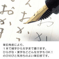 セーラー万年筆 ふでDEまんねん 万年筆 細字～太字 パールホワイト軸 12-0132-010 1本
