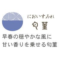 セーラー万年筆 万年筆用ボトルインク SHIKIORI（四季織） 十六夜の夢 匂菫（においすみれ） 13-1008-203