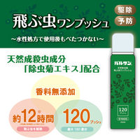 バルサン 天然除虫菊 飛ぶ虫用ワンプッシュスプレー 120回 3本 レック