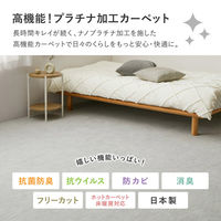 【玄関渡し】 萩原 お医者さんがすすめる　AskDoctors　抗菌プラチナ加工のカーペット グレー 88×176cm（直送品）