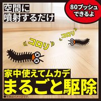 ムカデ カメムシ 駆除剤 ムカデコロリ 1プッシュ式 スプレー 80回分 2本 殺虫剤 害虫駆除剤 対策 退治 百足 寄せ付けない アース製薬