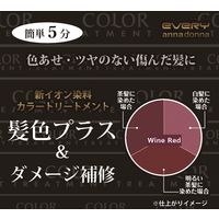 アンナドンナ エブリ カラートリートメント＜ワインレッド＞ 160g
