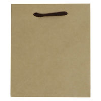 【紙袋】クラフトバッグ 真四角型 Mサイズ 1パック（10枚入 ）ハピラ（わけあり品）