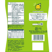 調製豆乳キャンディ 6袋 パイン 飴 あめ