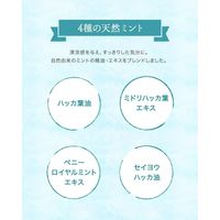 【数量限定】 入浴剤 クール クナイプ バスソルト スーパーミントの香り ボトル 850g 1個 クナイプジャパン