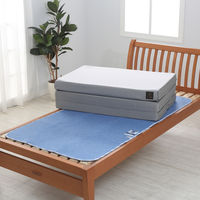 除湿シート サラネル シングルサイズ  1枚 西川 消臭 加齢臭対策 吸湿センサー付き 布団 湿気取り 除湿マット 吸湿 防湿 吸水シート