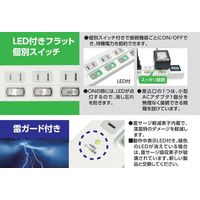 磁気研究所 ワットメーター付節電タップ (AC4個口 個別スイッチ) HDTAC4WMWH 1個