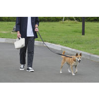 RM 犬用 長さ調整リード ダークグレー アイリスオーヤマ
