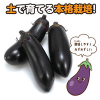 アーテック お家で楽しく栽培キット なす 102936 1個