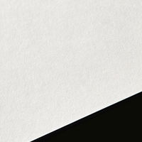 山櫻 辞令用紙 朱枠 縦書き 白 801162 1箱(100枚)