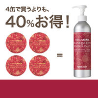 【送料無料】STEAM CREAM（スチームクリーム） フランキンセンス＆ざくろボトル 大容量 300g　保湿