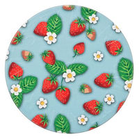 STEAMCREAM（スチームクリーム） GARDEN STRAWBERRY 【復刻版】 75g ギフト　保湿