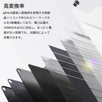 折り畳み式 ソーラー充電器 ソーラーパネル 出力100W 防塵防水 IP68 BigBlueTeck SP100 1台
