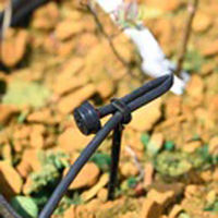 NETAFIM スタビライザー ポットドリッパー・ニップル用 32000-001500 1個（直送品）