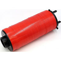 NETAFIM 2"リーダーフィルター 120メッシュ 70640-005342 1個（直送品）