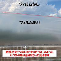 住化積水フィルム 花野果SUN-X 0.15mmX460cmX25m SUN-X 0.15X460X25 1枚（直送品）