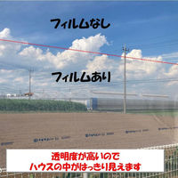 住化積水フィルム 花野果蒼天 0.15mmX185cmX20m 蒼天 0.15X185X20 1枚（直送品）