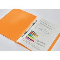 ライオン事務器 PPプラットファイル A4S F-51M グリーン 10072 1セット(10冊)（直送品）