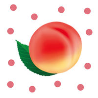 アサヒ飲料 「カルピス」白桃Lパック 紙容器 1000ml 1セット（12本）