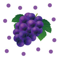 アサヒ飲料 カルピス 巨峰 Lパック 紙容器 1000ml 1セット（24本）