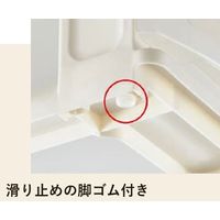 SANKA ナチュラ ポスデコ ワイド深ショート4 クリア NpdW-CCL 1セット(5個)