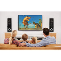 クマザキエイム ダイナミック・サウンドスピーカー DS-12 1組