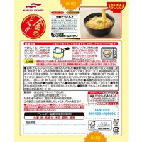 金のどんぶり 親子丼 1人前 1セット（3個）マルハニチロ