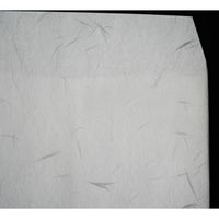 山櫻 特殊紙封筒 長3(枠無)大礼紙 20125683 1セット(1袋(100枚)×5)