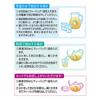 日東紅茶　水出しアイスティー アールグレイ ティーバッグ　　1袋（12バッグ入）