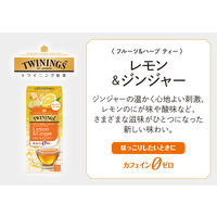 片岡物産 トワイニング レモン＆ジンジャー ティーバッグ 　1セット（1箱（10バッグ入）×3）