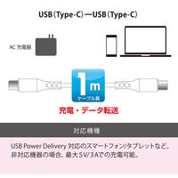 オーム電機 PD対応 C TO 10PDーW 01-7194 1個
