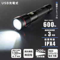 オーム電機 LED充電式ライトUS600 08-1371 1個