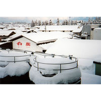 白龍酒造 [冷蔵] チル酒 白龍 吟醸 生酒 日本酒 300ml×4本 4977042254516 4本（直送品）