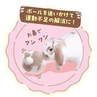 たれ耳ちゃんのうさけつボール ウサギ用 1個 ドギーマン うさぎ おもちゃ
