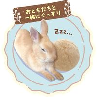 たち耳ちゃんのうさけつボール ウサギ用 ベージュ 1個 ドギーマン うさぎ おもちゃ
